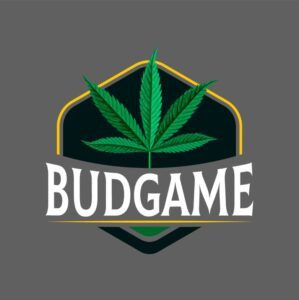 budgame logo.jpg