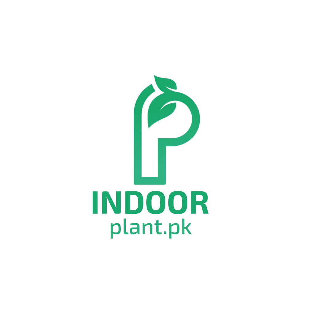 logo1.png