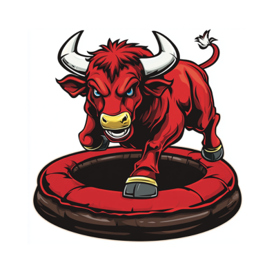 Best Mechanical Bull Rental DFW.png