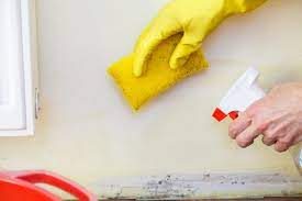 MOLD TESTING.jpg